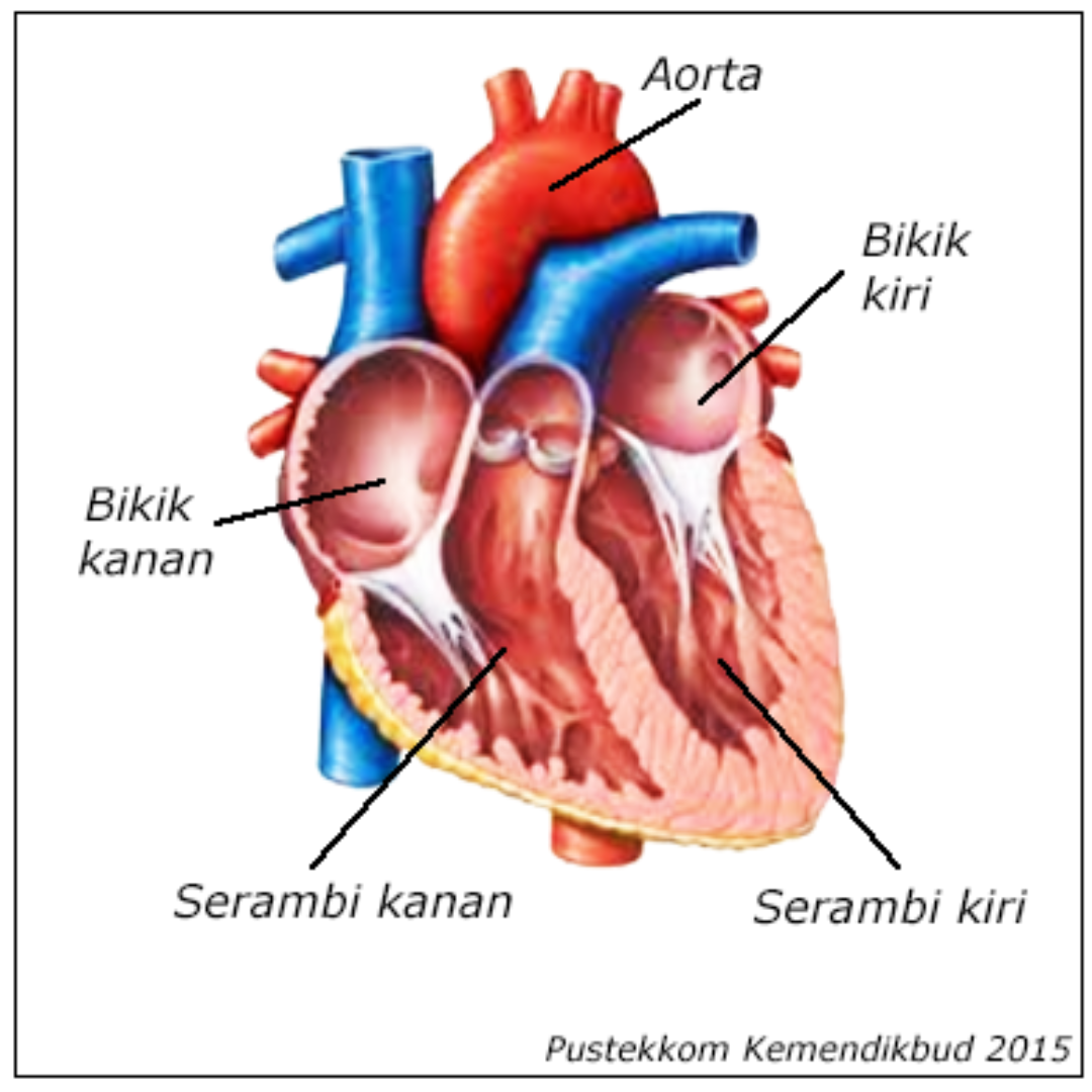Desain-tanpa-judul-38.png