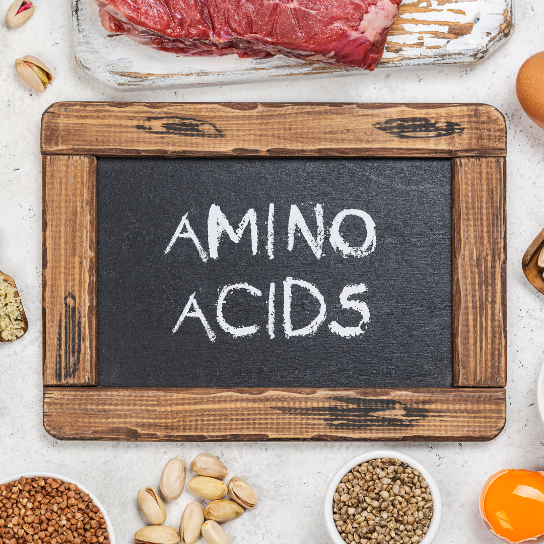 Asam-Amino-Nutrisi-Kecil-yang-Punya-Peran-Besar-untuk-Tubuh.png